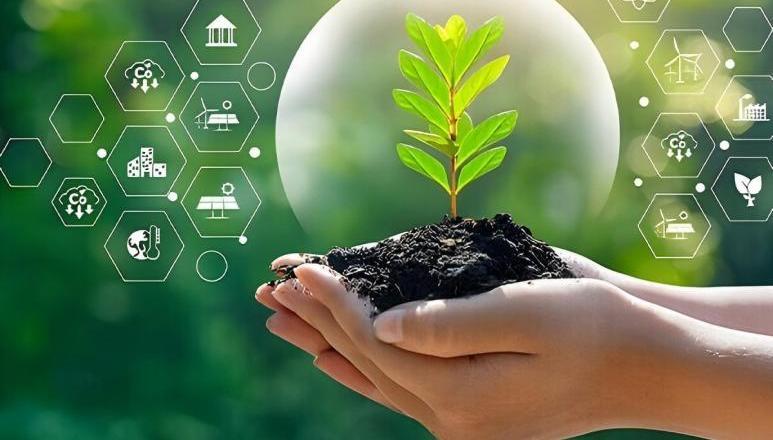 Qingdao Bright Moon Seaweed Group Co., Ltd