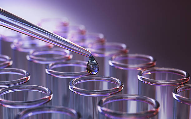 Jiangsu Bright Moon Marine Biological Technology Co., Ltd. is the group's largest alginate raw material production base.