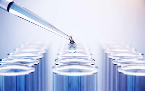 Qingdao Bright Moon Blue Ocean Biological Seaweed Organic Fertilizer