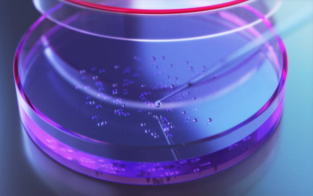 Qingdao Bright Moon Blue Ocean Biological Seaweed Organic-Inorganic Compound Fertilizer