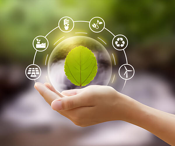 Qingdao Bright Moon Seaweed Group Co., Ltd