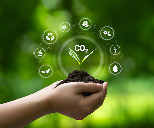 Qingdao Bright Moon Seaweed Group Co., Ltd