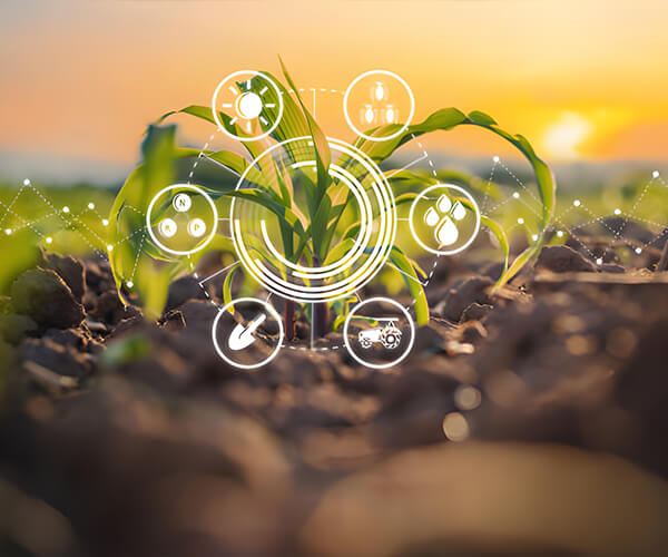 Qingdao Bright Moon Seaweed Group Co., Ltd