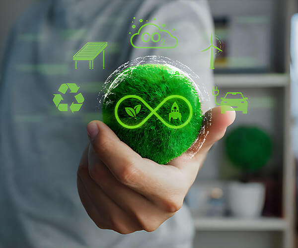 Qingdao Bright Moon Seaweed Group Co., Ltd